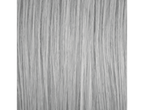 GENUS COLOR krem koloryzujący profesjonalna farba do włosów 100 ml | Argento - 2